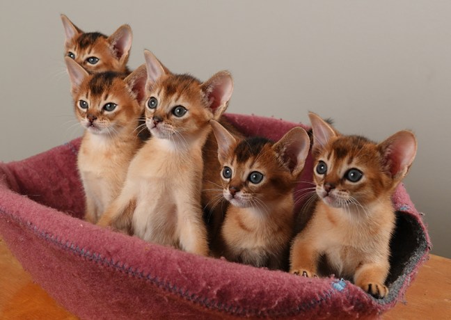 20190922-Ryhmä_www-sivut