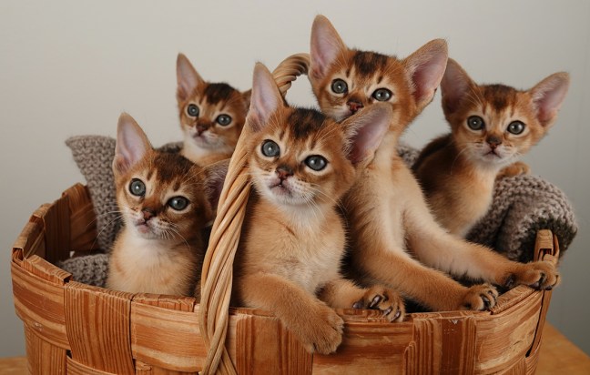 20190928-Pentu-ryhmä_FB