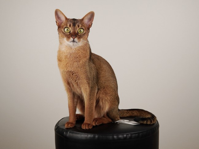 20201015-Manteli_5_www