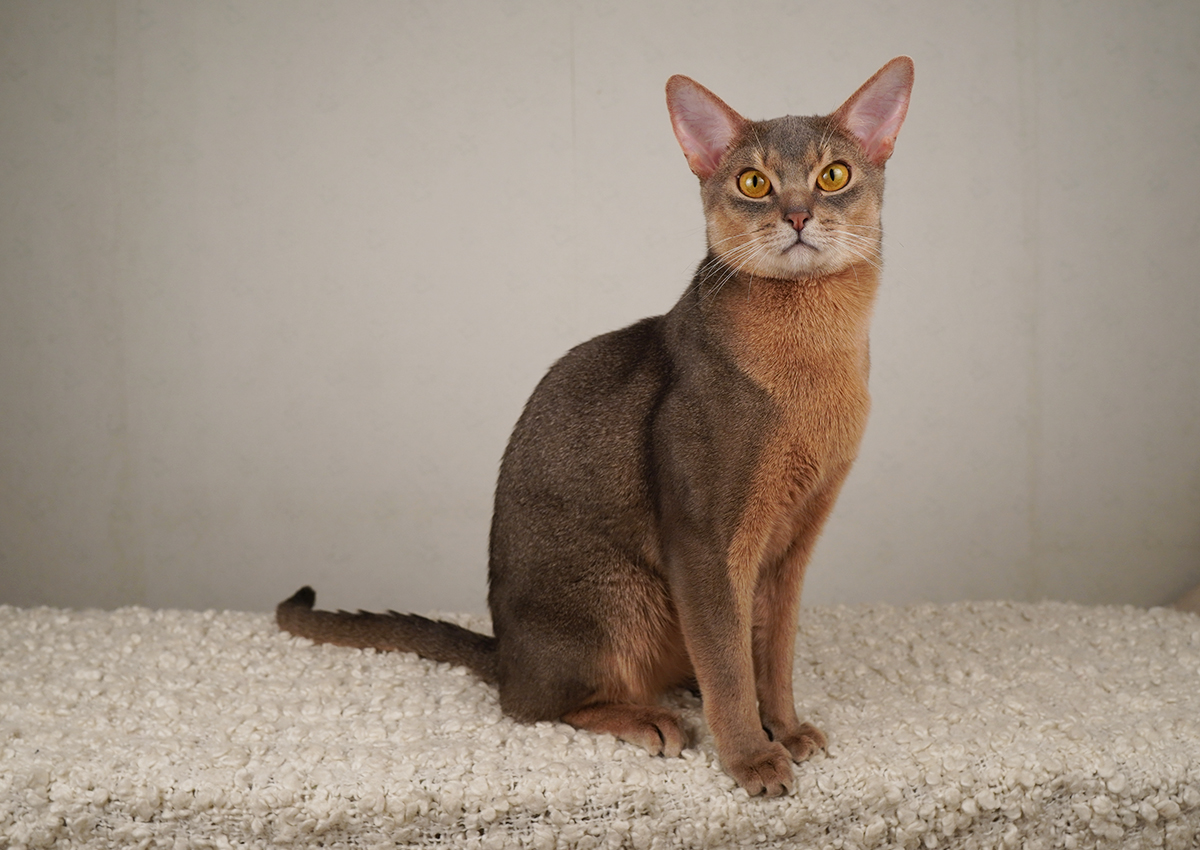 20210120-Viktor_1_FB